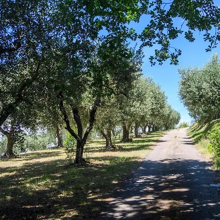 Beautiful Home In Pesaro With Wifi