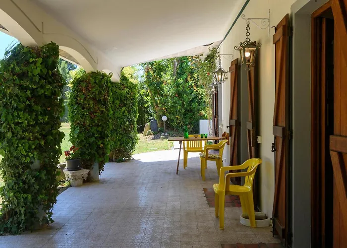 In With Wifi * 佩萨罗